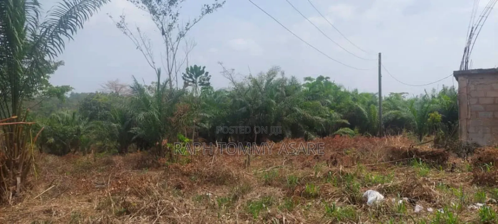 3 Plots of Land Located at Kwabere Kasaam for Sale