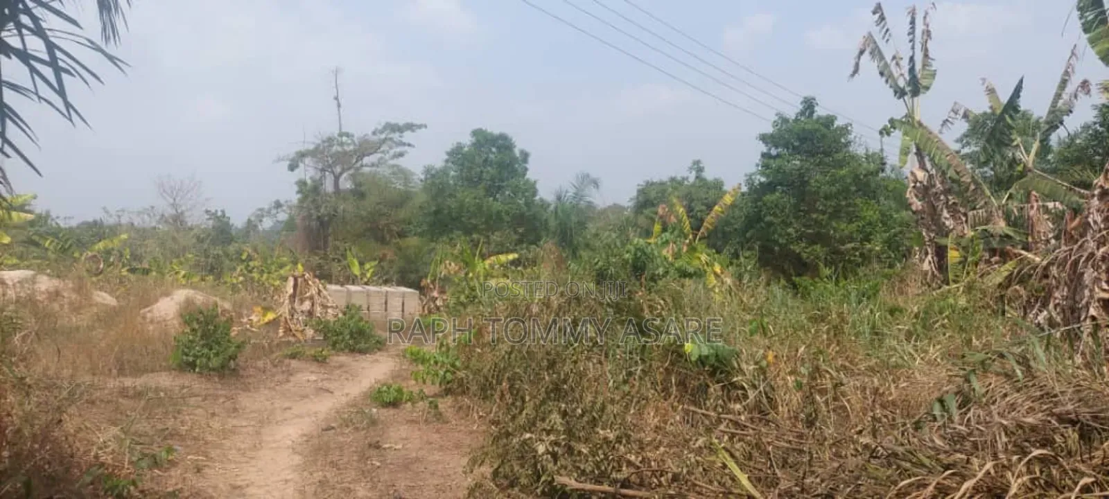 3 Plots of Land Located at Kwabere Kasaam for Sale