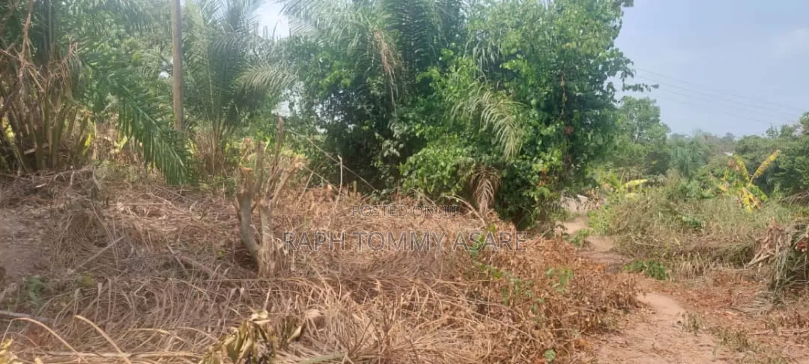 3 Plots of Land Located at Kwabere Kasaam for Sale