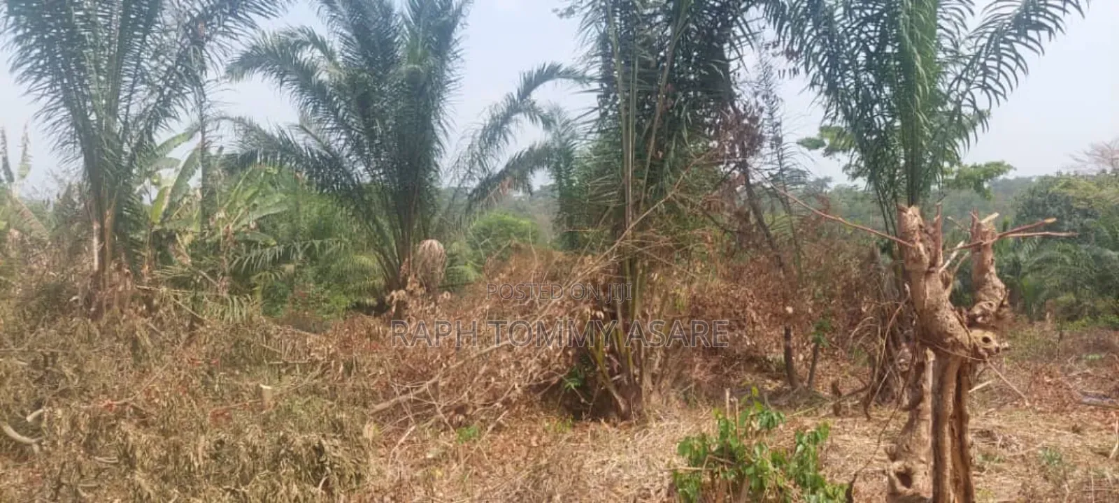 3 Plots of Land Located at Kwabere Kasaam for Sale