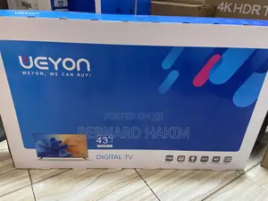 Weyon 43” Digital Satellite Smart