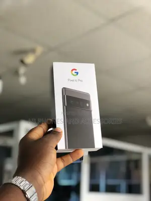 New Google Pixel 6 Pro 128 GB Gray