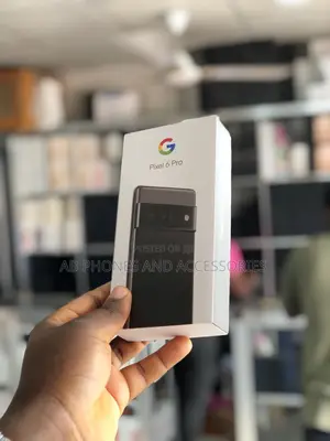 New Google Pixel 6 Pro 256 GB Gray