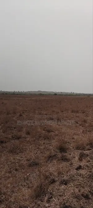 Trust Estate Masters for Your Land at Prampram
