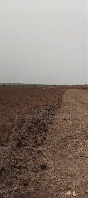 Trust Estate Masters for Your Land at Prampram