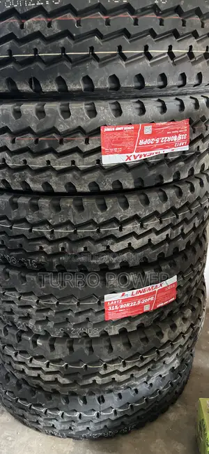 315/80r22.5-20pr All Steel Radial Linemax