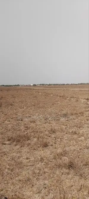 Land Hunting Make Easy With Estate Masters