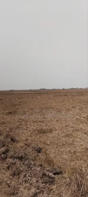 Land Hunting Make Easy With Estate Masters