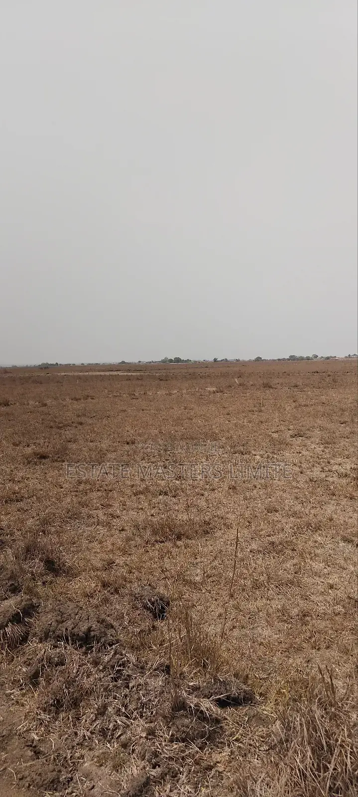 Land Hunting Make Easy With Estate Masters