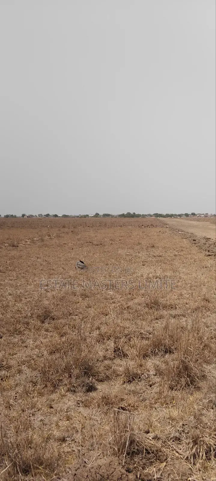Your Space Our Search Buy a Land From Estate Masters Now