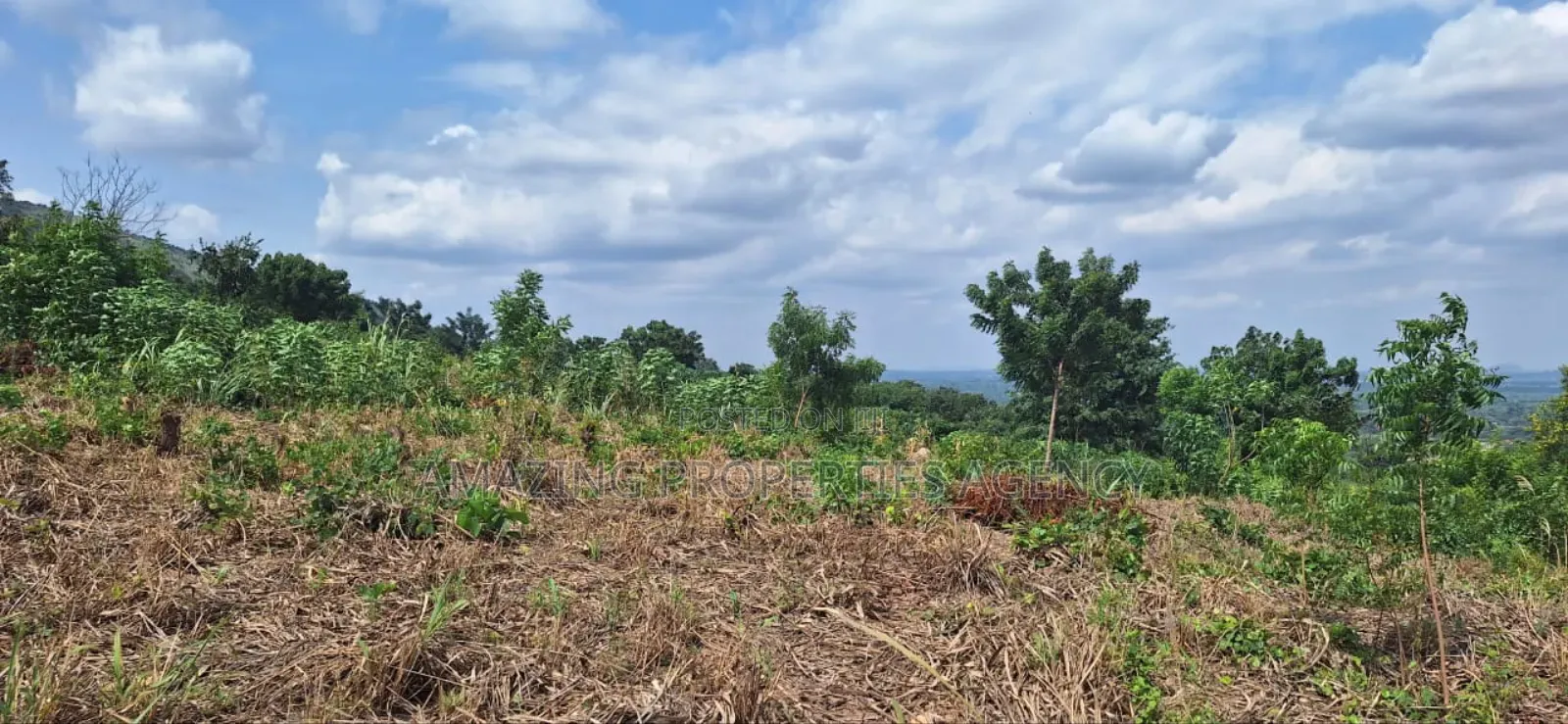 45x100 Ft Plot of Land for Sale at East Airport