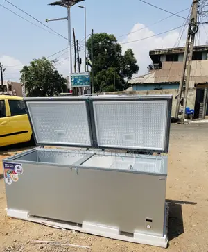 Buy Unique Nasco Nas 1200FL -DD 2 Door Freezer(Silver).