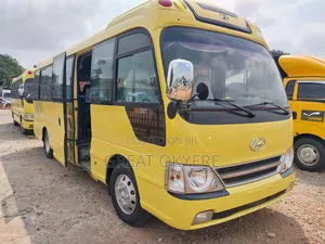 Hyundai County 2010 Orange