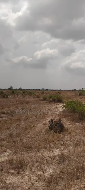 Beautiful Acres of Lands Available for Sale at Tsopoli
