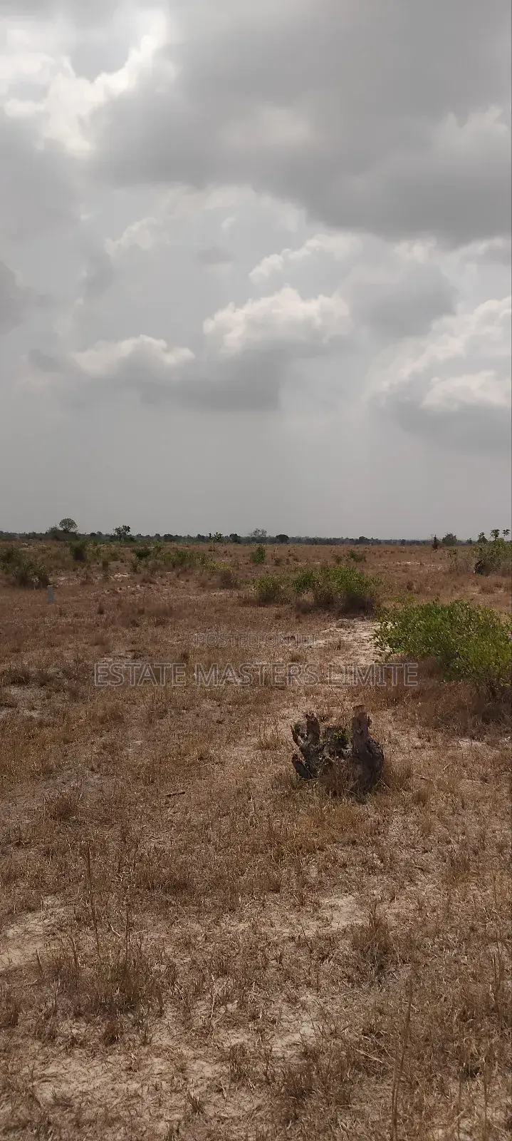 Beautiful Acres of Lands Available for Sale at Tsopoli
