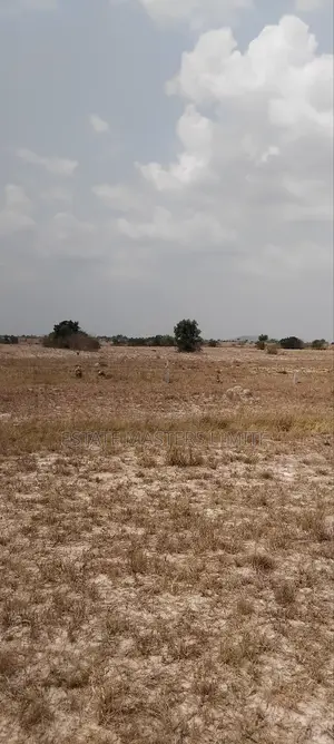 Beautiful Acres of Lands Available for Sale at Tsopoli