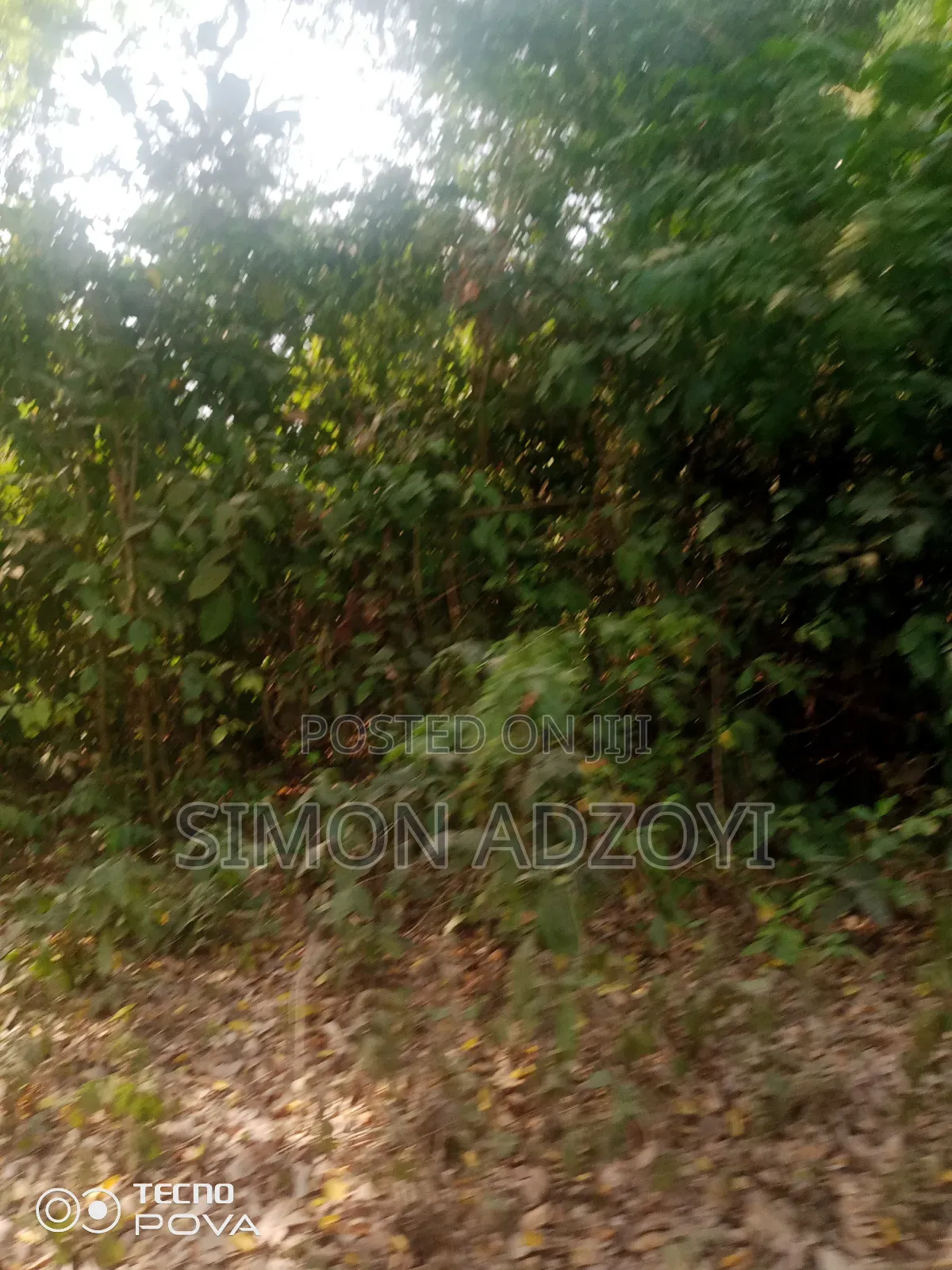 80 Km Square of Gold Mining Concession