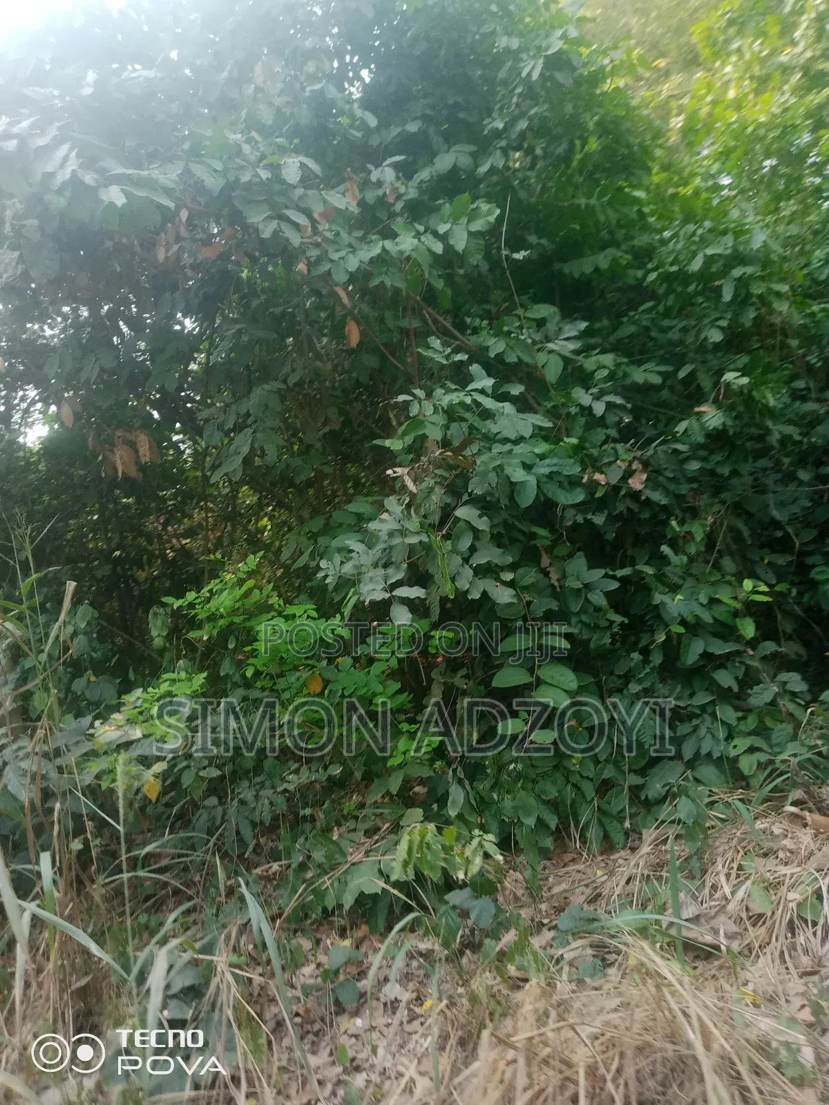 80 Km Square of Gold Mining Concession