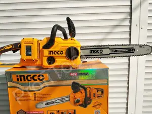 16 Inches Cordless Chainsaw With 2 Batteries - Cgsli401682