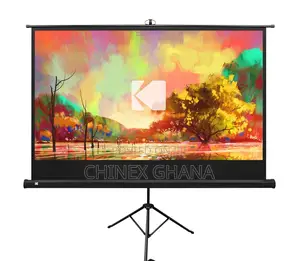 Projector Screen 60:16:9