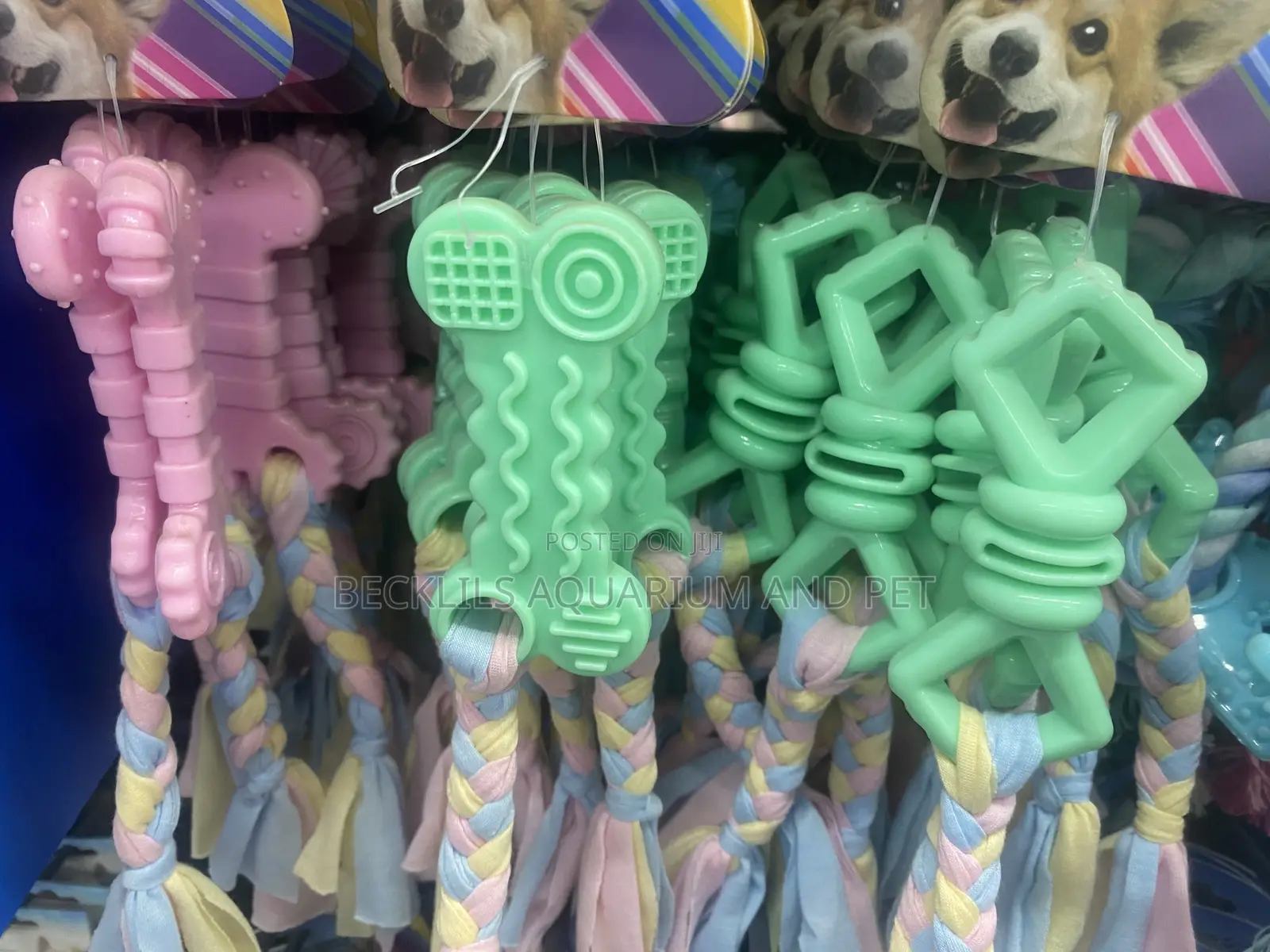 Play Dog Play With Robe
