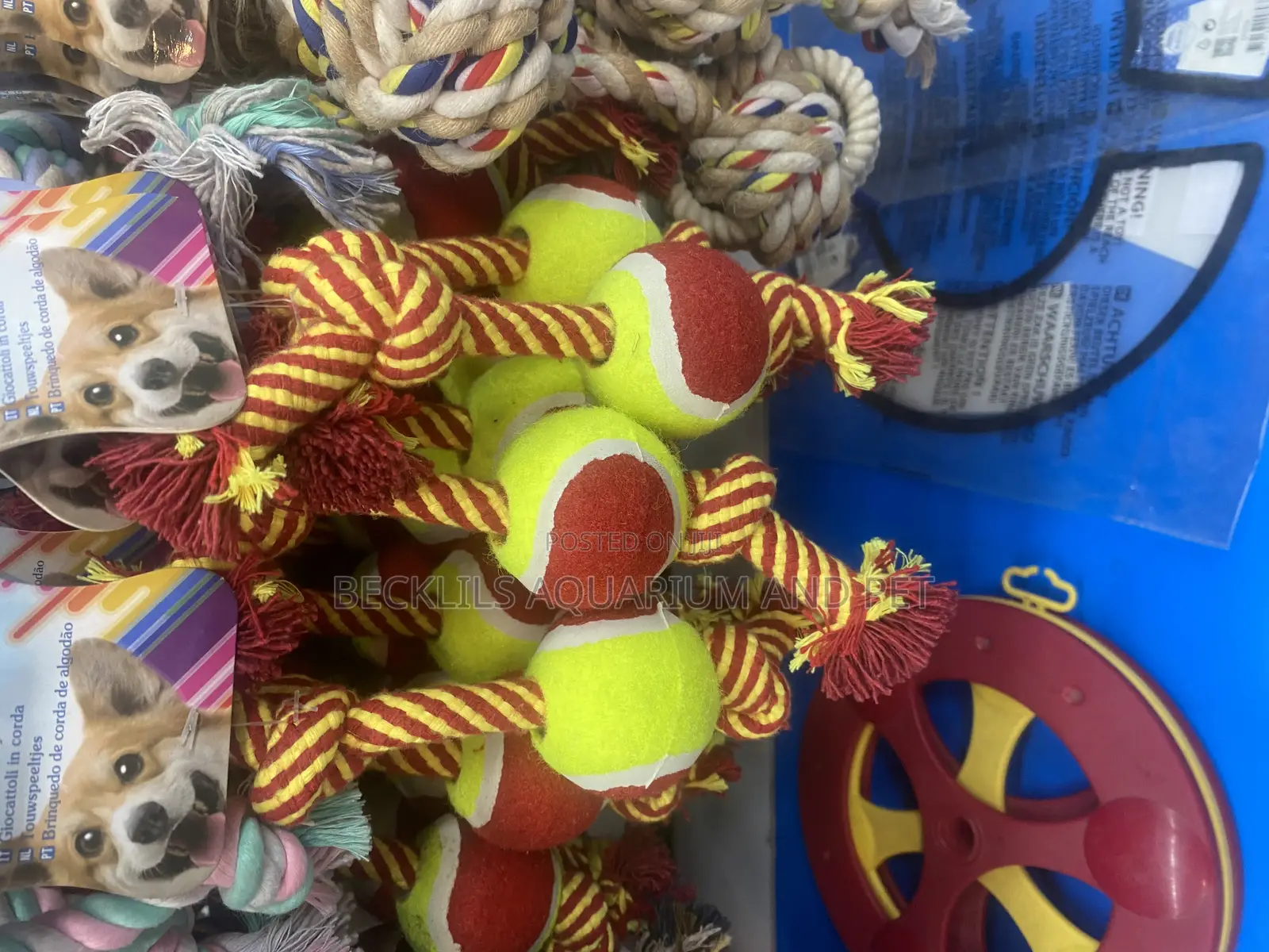 Dog Play Toys ( Ball )