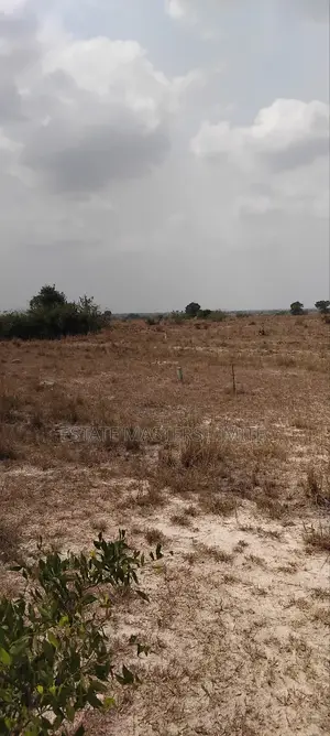 Beautiful Flat Land for Sale at Tsopoli