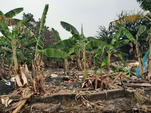 Photo - Plot for Sale at Asuoyeboah ( Near Sofoline)