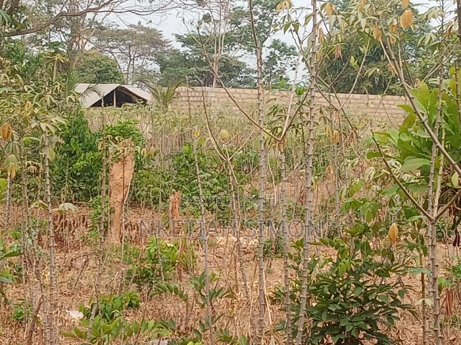 A Residential Plot in Sunyani Benu Nkwanta