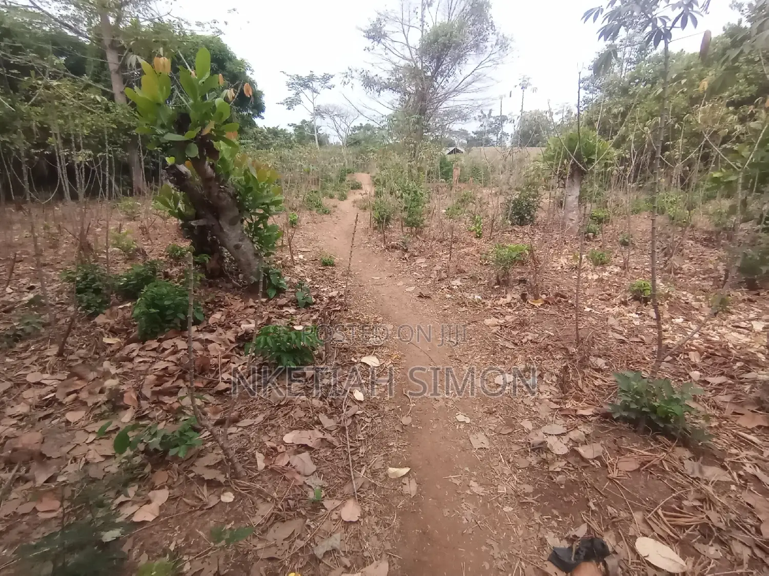 A Residential Plot in Sunyani Benu Nkwanta
