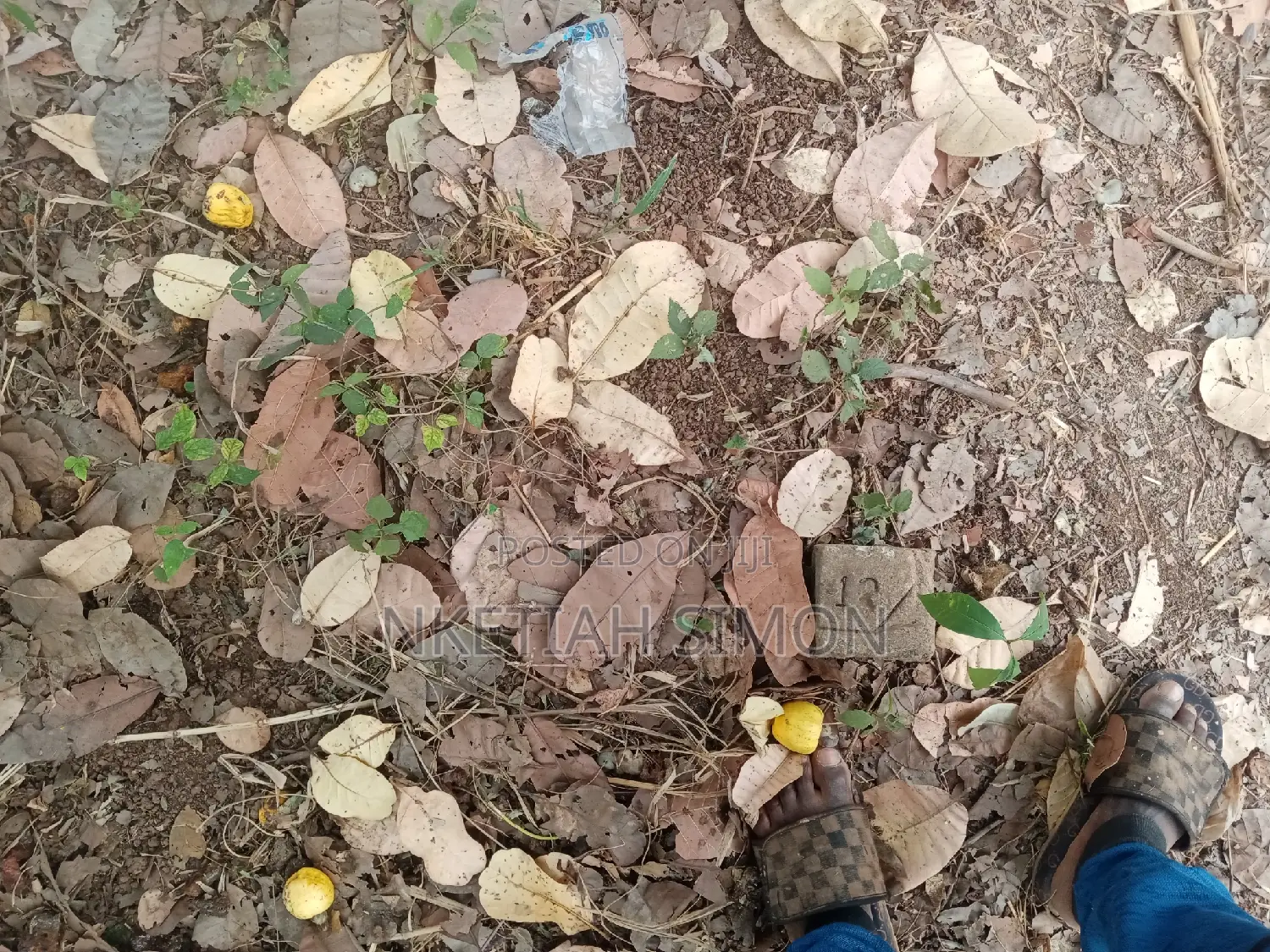 A Residential Plot in Sunyani Benu Nkwanta
