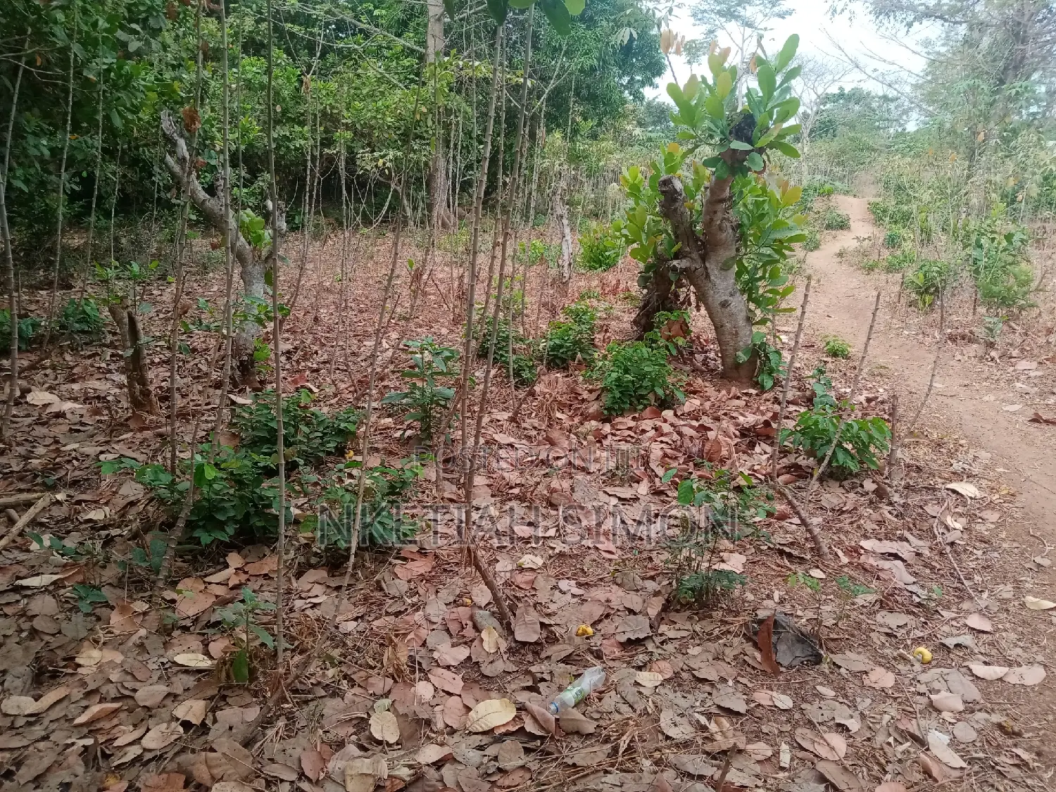 A Residential Plot in Sunyani Benu Nkwanta