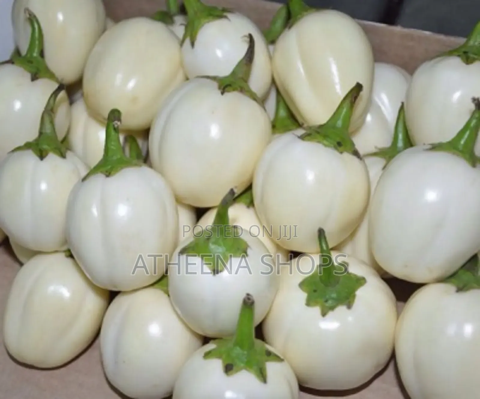 Garden Eggs Seeds