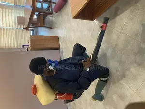Bed Bugs & Cockroach Fumigation