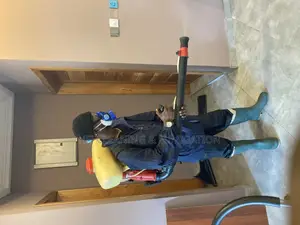 Bed Bugs & Cockroach Fumigation