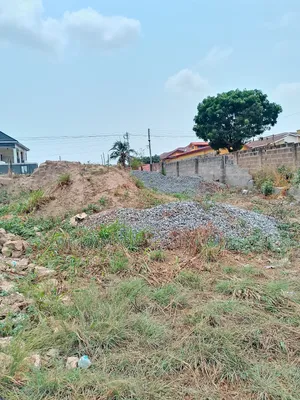 TDC Walled 60 by 140ft Half Plot of Land 4sale,Spintex