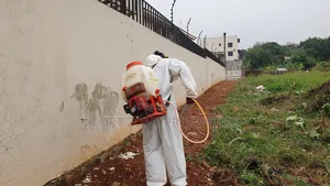 Insects and Reptils Control Services With Cleantex