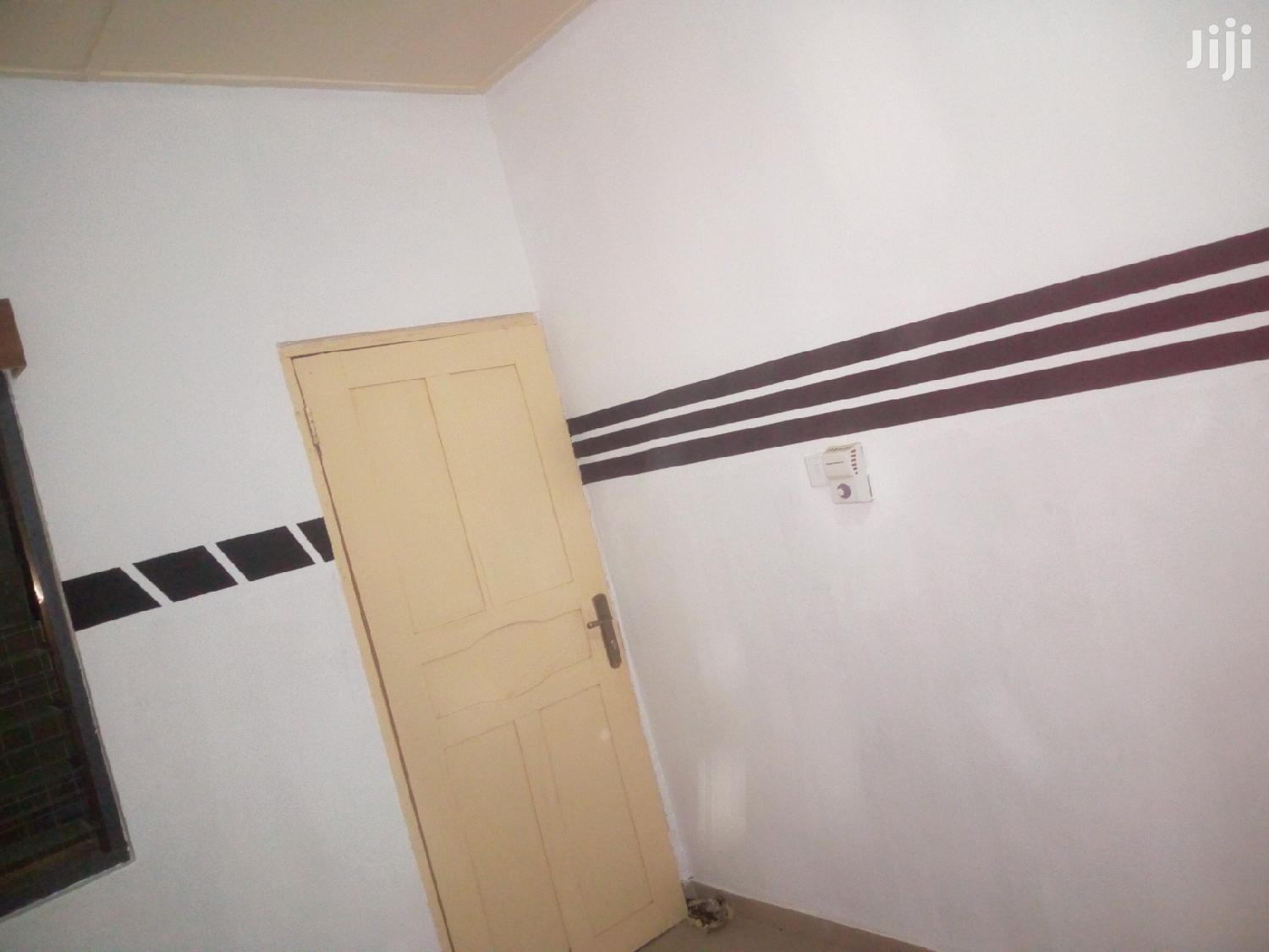 Painter and Insects Sprayer