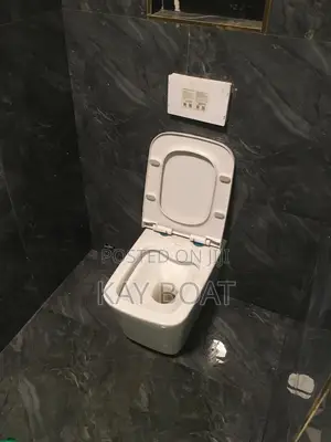 Neatly Installed Concealed WC
