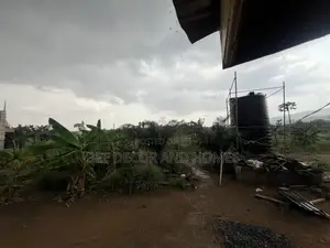 Close to Main Forest Hotel for Sale