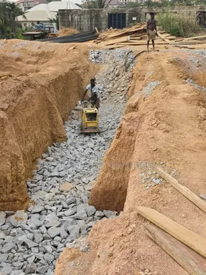 Plate Compactor 500kg/Roller Compactor