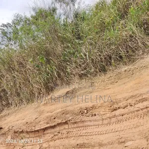 Alpha Lands At Buduata Township For Sale