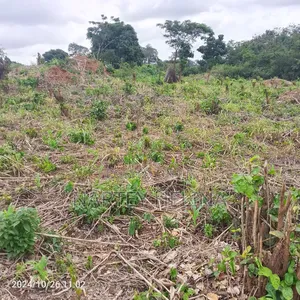 Alpha Lands At Buduata Township For Sale
