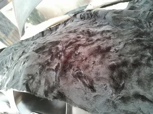 Pure Black  Universal Dashboard Covers for All Cars