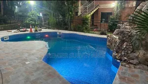 Swimming Pool Construction