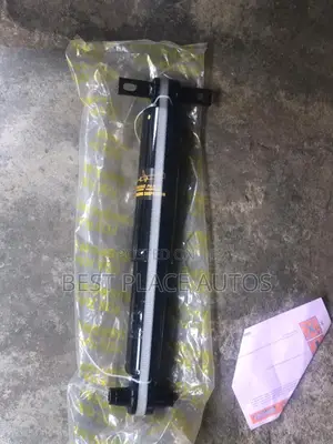 Honda Pilot 2012 Back Shocks