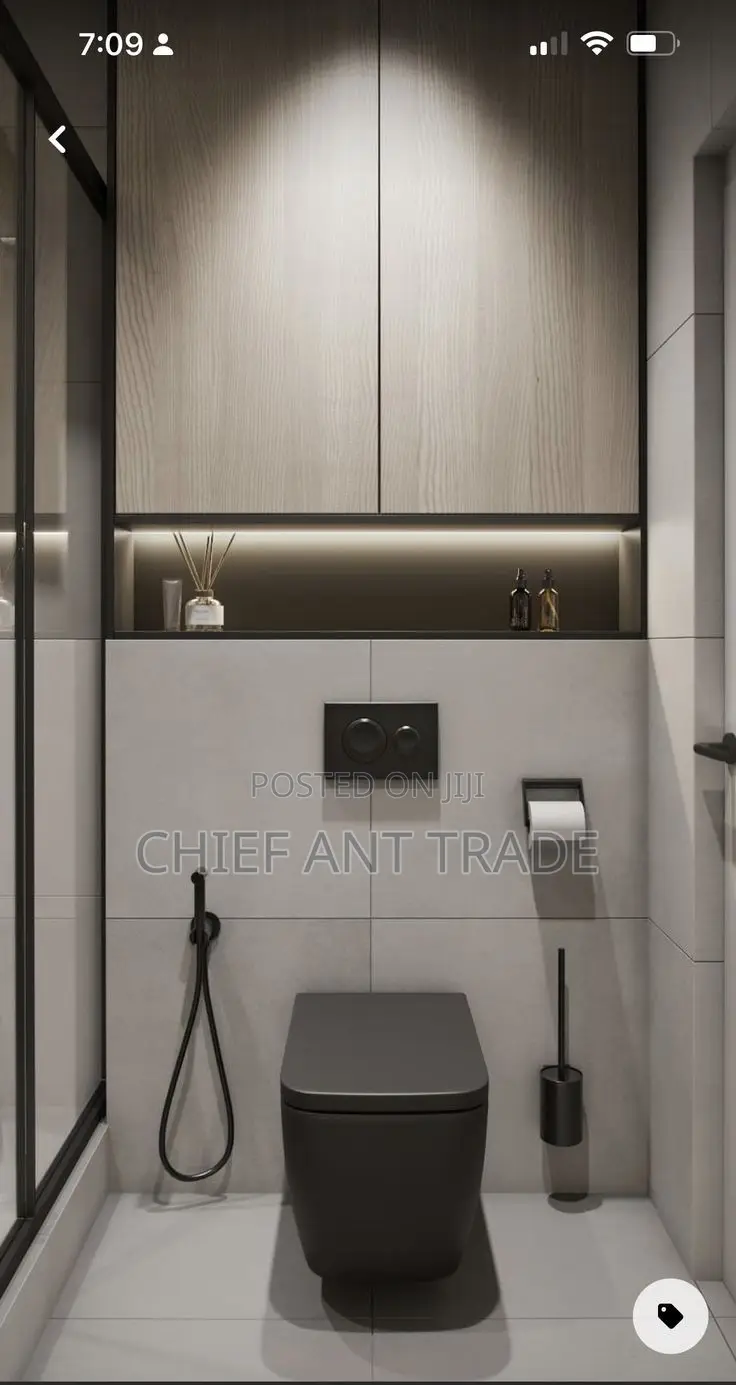 Concealed Wc Wall Toilet Seat. 625b