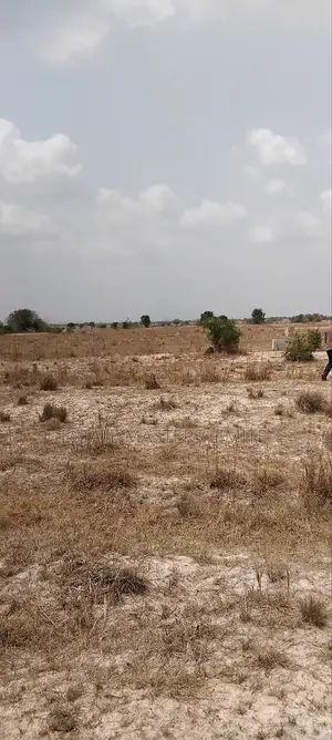 Beautiful Acres of Asaase Available for at Tsopoli