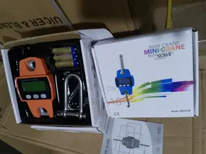 Mini Crane Scale 300KG