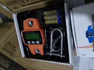 Mini Crane Scale 300KG